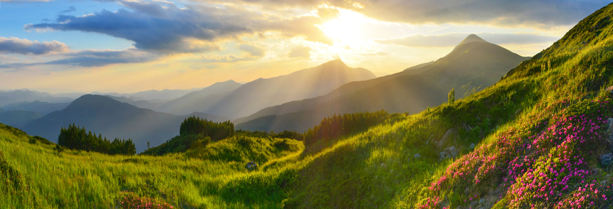 Panoramaansicht von einem Berg mit einer grünen Landschaft, Wälder und Berge im Hintergrund.